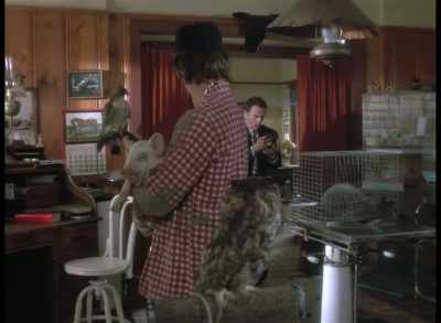 Where I'm from,
there are better ways - Quantum Leap