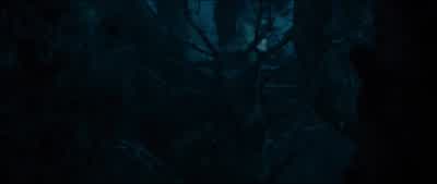 Where is the boy? - Into the Woods