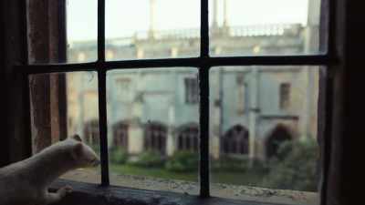 Where is it? Ah, yes. - His Dark Materials