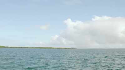 Where is it?
Can anyone see it? - 5 Headed Shark Attack