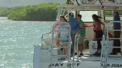 -Where is it?
-I don't know. - 5 Headed Shark Attack