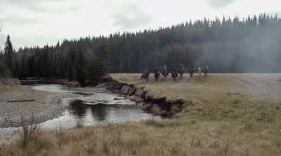 Where is it? - Dead Again in Tombstone