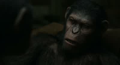 Where Koba now? - Dawn of the Planet of the Apes