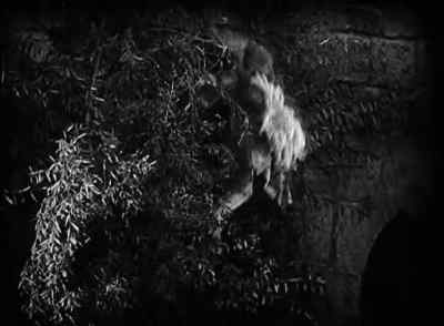Where is my daughter? - The Man Who Laughs