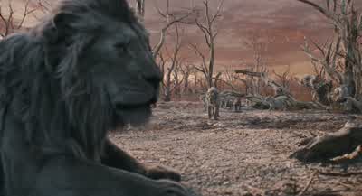 Where is my sonThere was a young lion MajestyHe fought ShajuAnd yet you came backYou survivedI was badly hurt I promise Majesty This is the truthThe truth Yes the truthThe truth is standing behind youThere were others Majesty No no noBut only one left - Mufasa: The Lion King