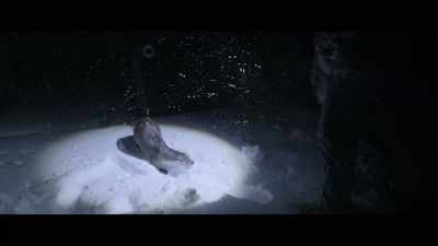 Where on earth have you
been, you little horror? - Billy & Molly: An Otter Love Story