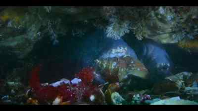 Where he seems to seal the deal
with a gift. - Our Oceans
