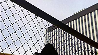 Where is the boy? - CSI: Miami