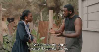 - Where were the dogs?
- I wanted to run after the man, - Swallow