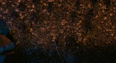 Where the hell did he goI have no idea He just vanishedSet up a five block perimeter Now - Ant Man