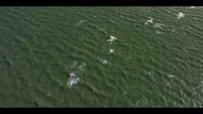 Where, under the oppressive heat, - Our Oceans