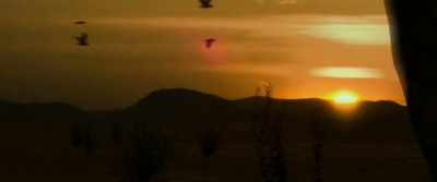 Where wind dances
the branches of a tree, - Wind River