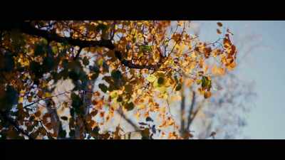 Whereas Makayla's listening, - Makayla's Voice: A Letter to the World