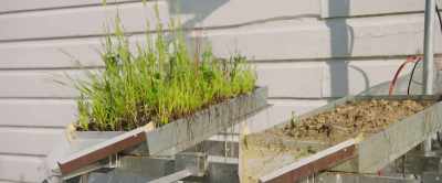 Whereas the chemical-ridden
soil on the right - 2040