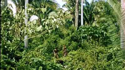      Where'd he come from?
              Huh? - Robinson Crusoe