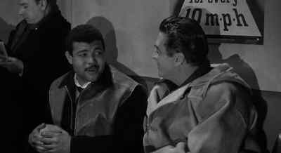 Where'd you get that mutt? - The Long Haul