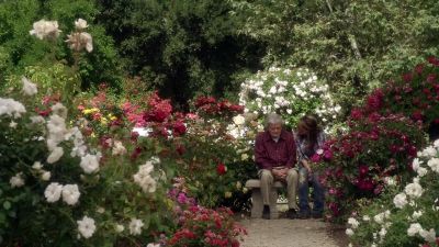 Where'd you go, Dad? - Sons of Anarchy