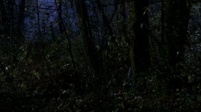Where'd she go? - Supernatural