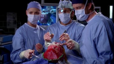 Where'd that guy's face go? - Grey's Anatomy