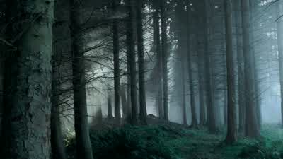 Where's Bran? - Game of Thrones