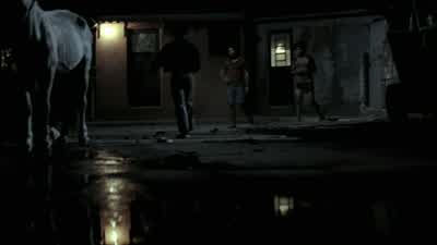 Where's Carrot? - City of God