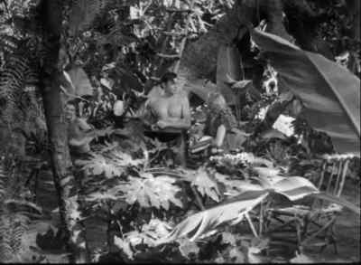 Where's Cheeta? - Tarzan and the Huntress