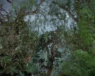 Where's chipper?
He's over there
somewhere. - Land of the Giants