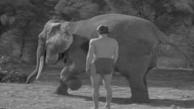 Where's she going? - Tarzan Finds a Son!