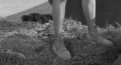 Where's Kay? Kay? - Creature from the Black Lagoon