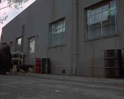 Where's Steve?
I guess he got away somehow. - Land of the Giants