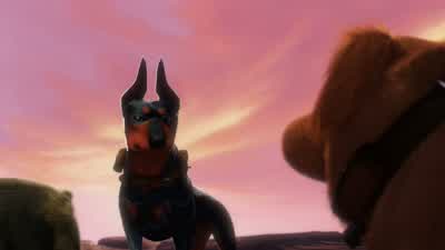 Where's the bird? - Up