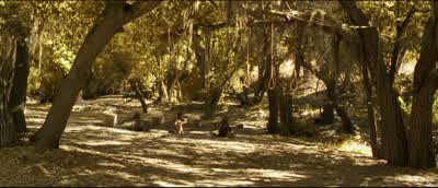 Where's the happy little tire swing - O Brother, Where Art Thou?