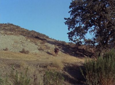 Where's the kid going? - The Virginian