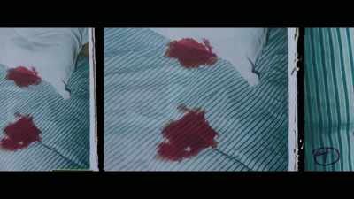 Where's the rest of it? - Who Killed Robert Wone?