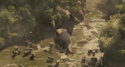 Where's your father? - Dumbo