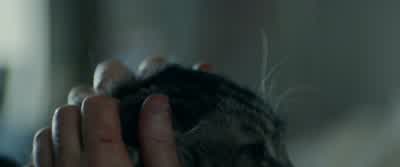 Where's your papa? - You Were Never Really Here