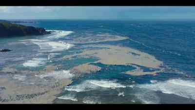 Wherever it flows, the great current
delivers extraordinary riches, - Our Oceans