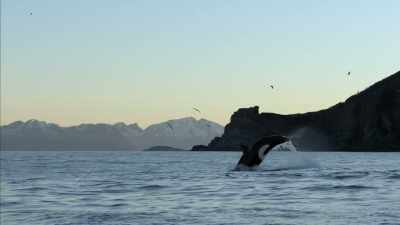 Whether it's taking on big oil in Norway, - Photographer