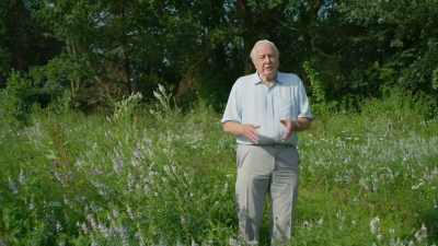 Whether it's what we eat
and cultivate - The Green Planet