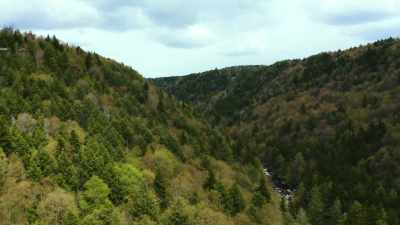 Whether or not Indrid
Cold and the Men in Black - On the Trail of UFOs: Dark Sky