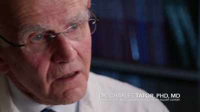 Whether the enforcer is
particularly vulnerable - Ice Guardians