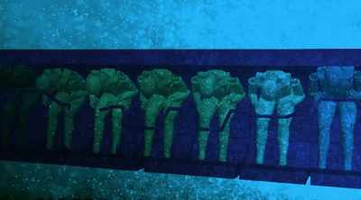 Whether they were incapacitated
by concussion - Mysteries of the Deep