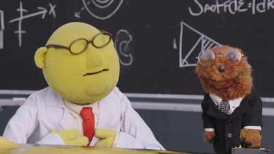 Whew. That was just the reaction
I was looking for! - Muppets Now