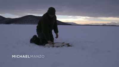 Whew. Whew. - Life Below Zero: Next Generation