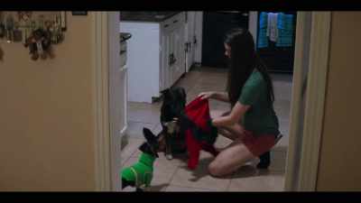 ...which is a task-trained dog
that can help you - Marvel's 616