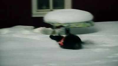 Which is exactly what
happened after Maura's crash. - The Disappearance of Maura Murray