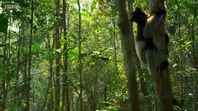 ..which is, after all, our home too. - Planet Earth: A Celebration