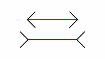 Which line is longer? - The Divided Brain