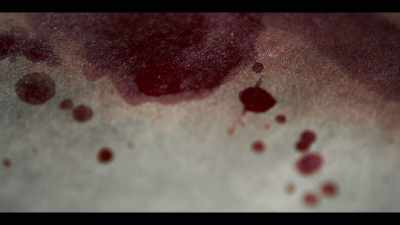 Which means the first car vandalized
on March 15th would have splatter on it. - American Vandal