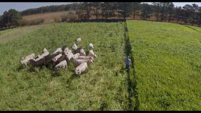 Which model do you want
your food to be produced from? - Kiss the Ground